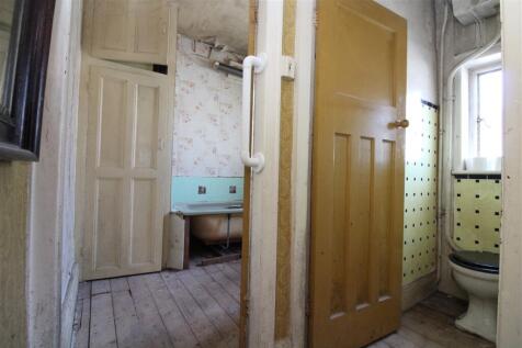 IMG 7173  Medium  T202510301105.jpg