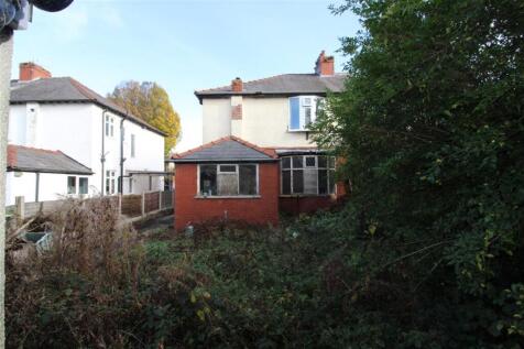 IMG 7180  Medium  T202510301105.jpg