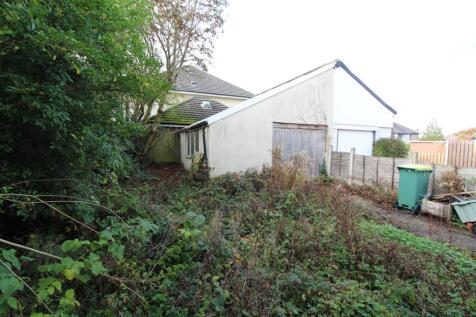 IMG 7154  Medium  T202510301105.jpg