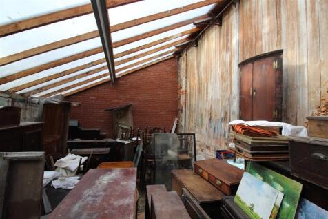 IMG 7151  Medium  T202510301105.jpg