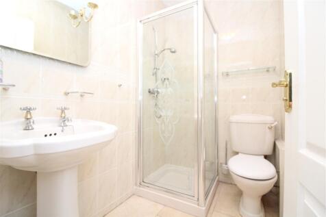 IMG 6788  Medium  T202510021650.jpg