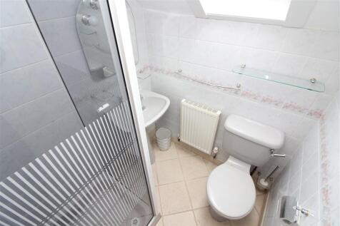 IMG 6818  Medium  T202510021650.jpg