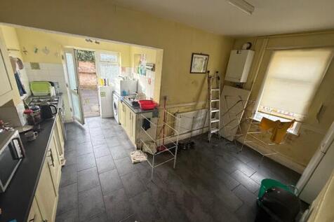 Dinkitch T202511051040.jpg