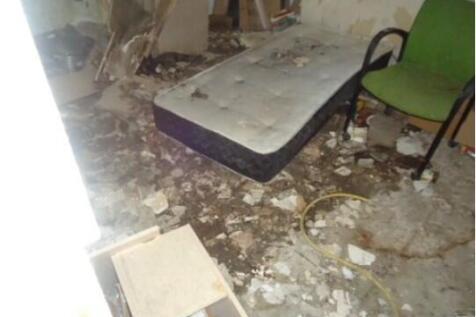 Screenshot 2025-11-07 122731 T202511071607.jpg