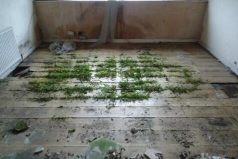 Screenshot 2025-11-07 122653 T202511071607.jpg