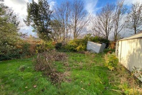 Garden T202511181443.jpg