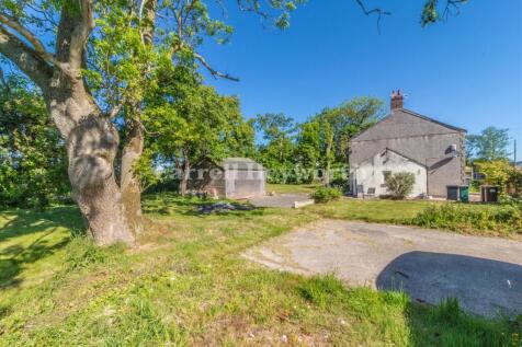 Garden Image 2 T202511191527.jpg