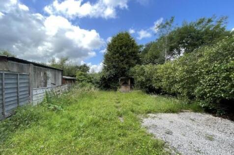 Garden T202511201403.jpeg