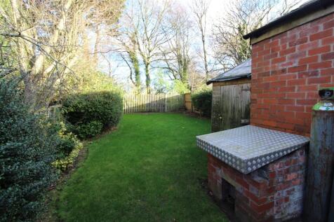 IMG 7363  Medium  T202511251635.jpg