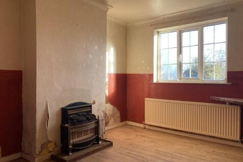 02-12-2025  12-19-01 IMG 4870-min T202512021506.jpeg