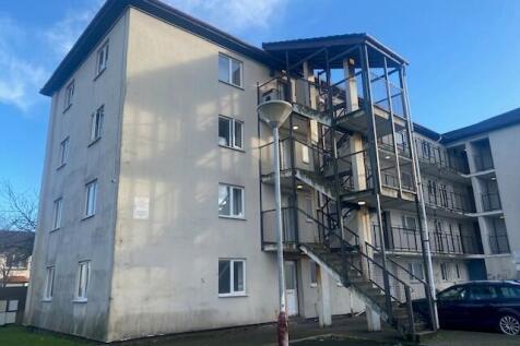 Rear View T202512021627.jpg