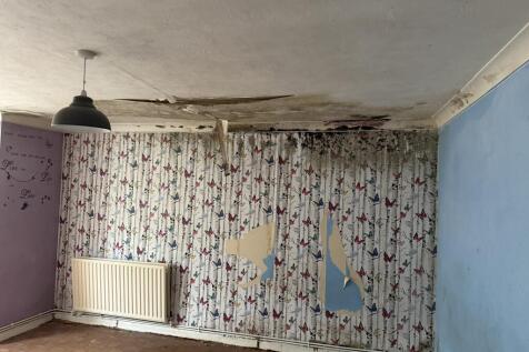 IMG 5293 T202511041002.jpeg