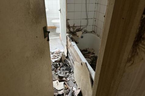 IMG 5301 T202511041002.jpeg