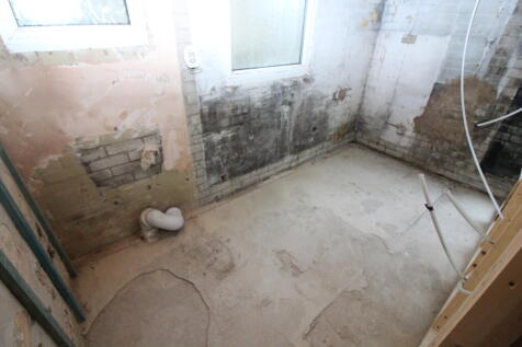 IMG 3691 T202510161111.jpg