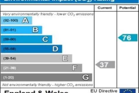 ENVIRONMENTAL IMPACT