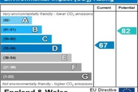 ENVIRONMENTAL IMPACT