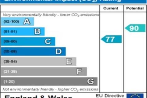ENVIRONMENTAL IMPACT