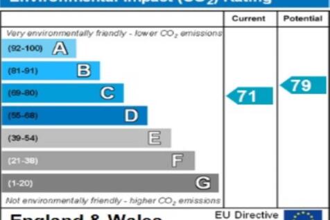 ENVIRONMENTAL  IMPAC