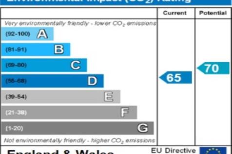 ENVIRONMENTAL  IMPAC