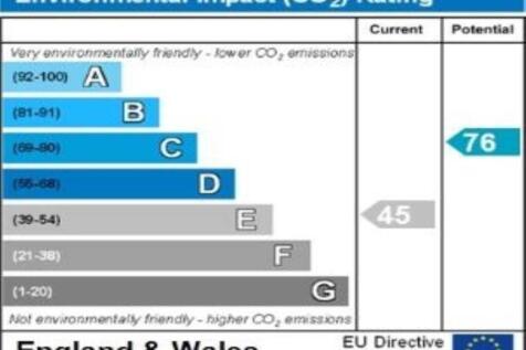 ENVIRONMENTAL IMPACT