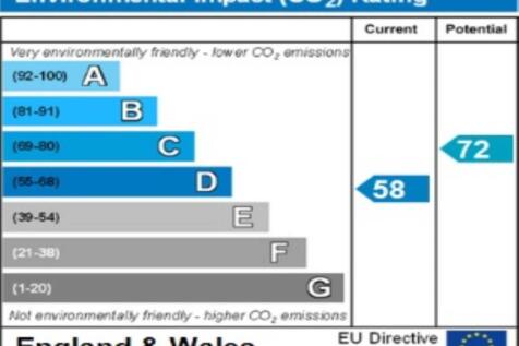 ENVIRONMENTAL IMPACT