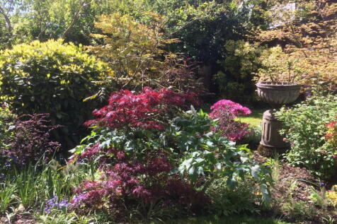 Property Image 44