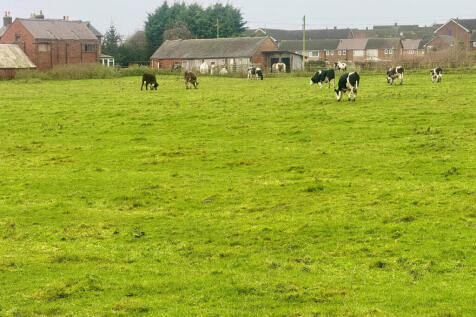 Field to the Rear