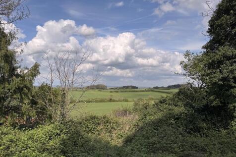 Fields To The Rear