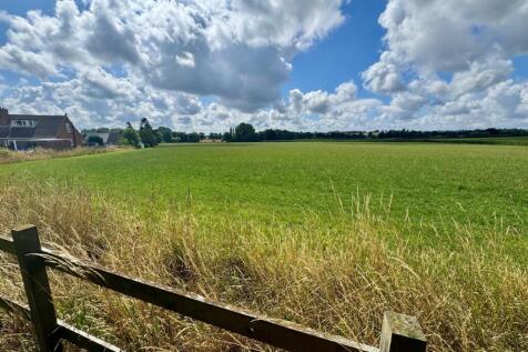 Fields to the Rear