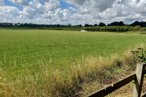 Fields to the Rear