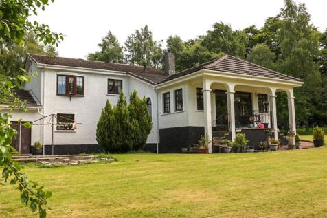 Rear Elevation