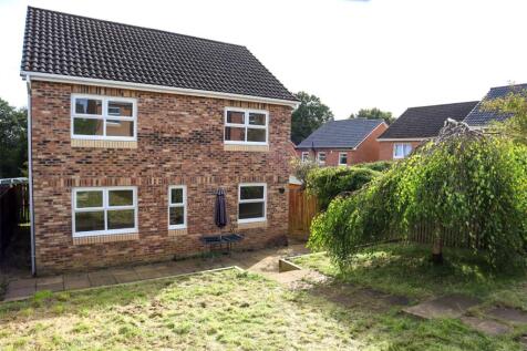 Rear Elevation