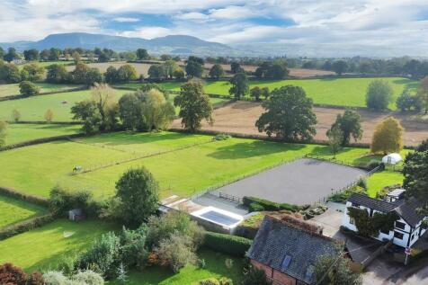 DJI_0407.jpg