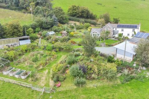 DJI_0719.jpg