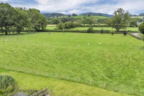 DJI_0557.jpg