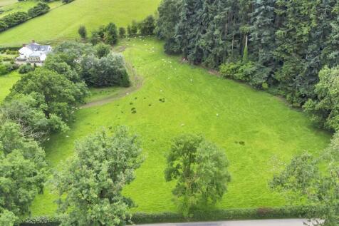 DJI_0560.jpg