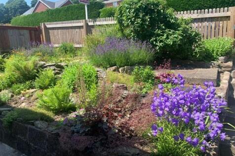 Front garden.jpeg