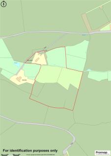 Promap - V2.jpg