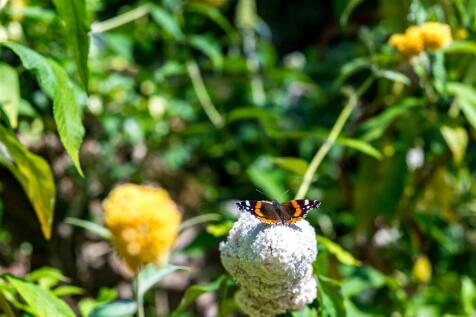 DSC_5035.jpg