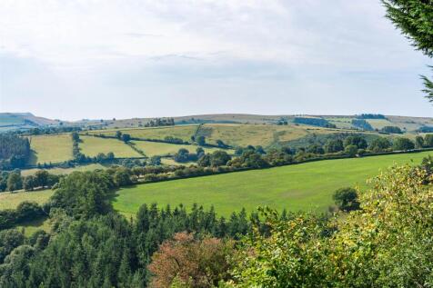 DSC_5024.jpg