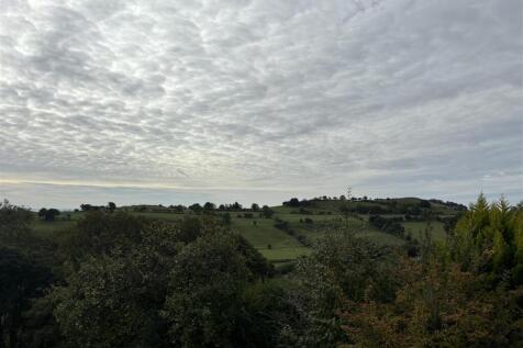 image00013.jpeg