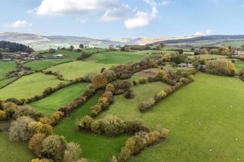 2-1360465  (1)-2.jpg