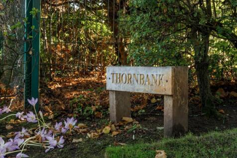 Thornbank