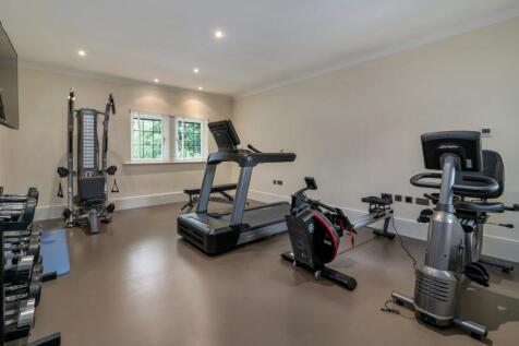 Bedroom/Gym
