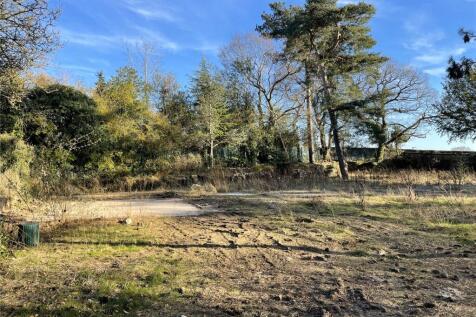Ashley House Plot