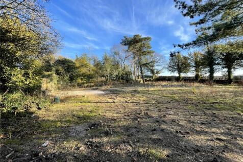 Ashley House Plot