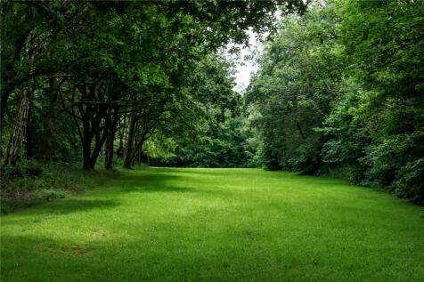 Grounds