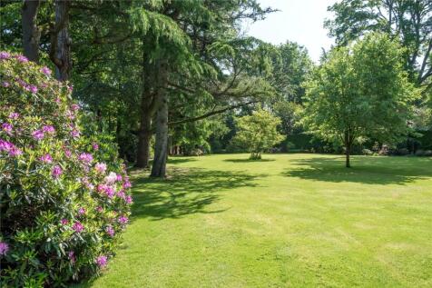 Grounds