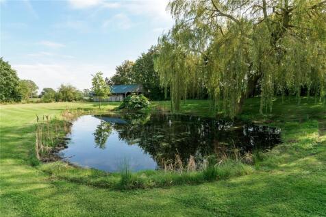 Pond