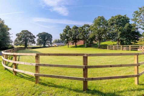 Grounds